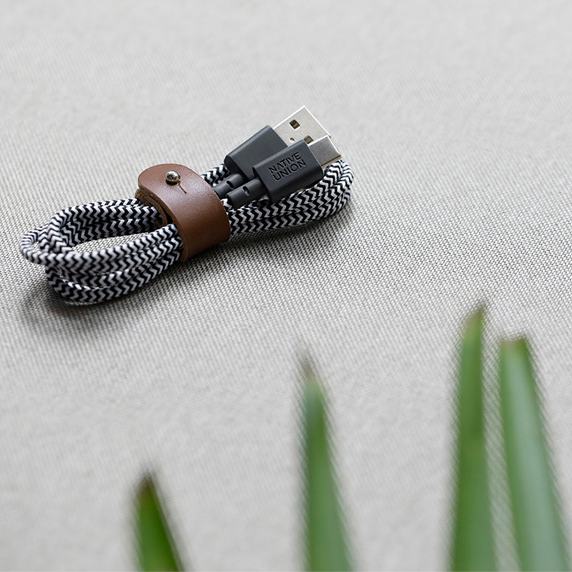 Belt Cable (USB-A to USB-C)